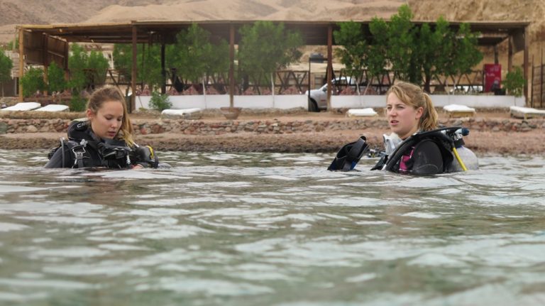 Divers preparing their equipment for a scuba review