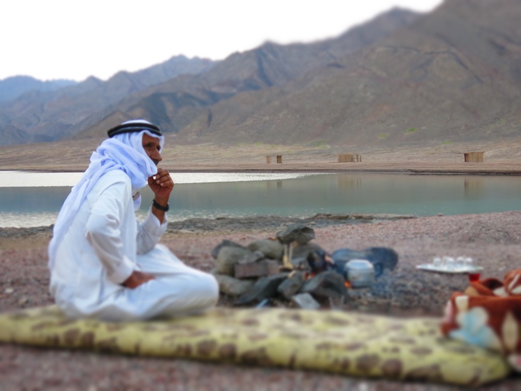 Bedouin guide with camels on the shore of Ras Abu Galum
