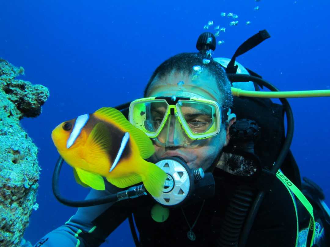Diver watching fish on a Red Sea reef during a Discover Scuba Diving experience