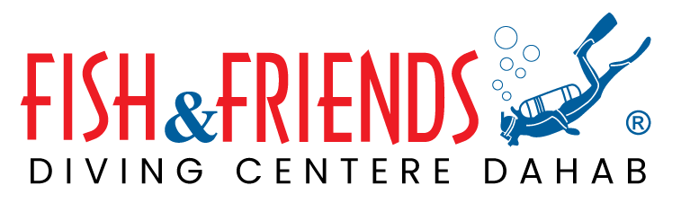 Fish & Friends Dahab